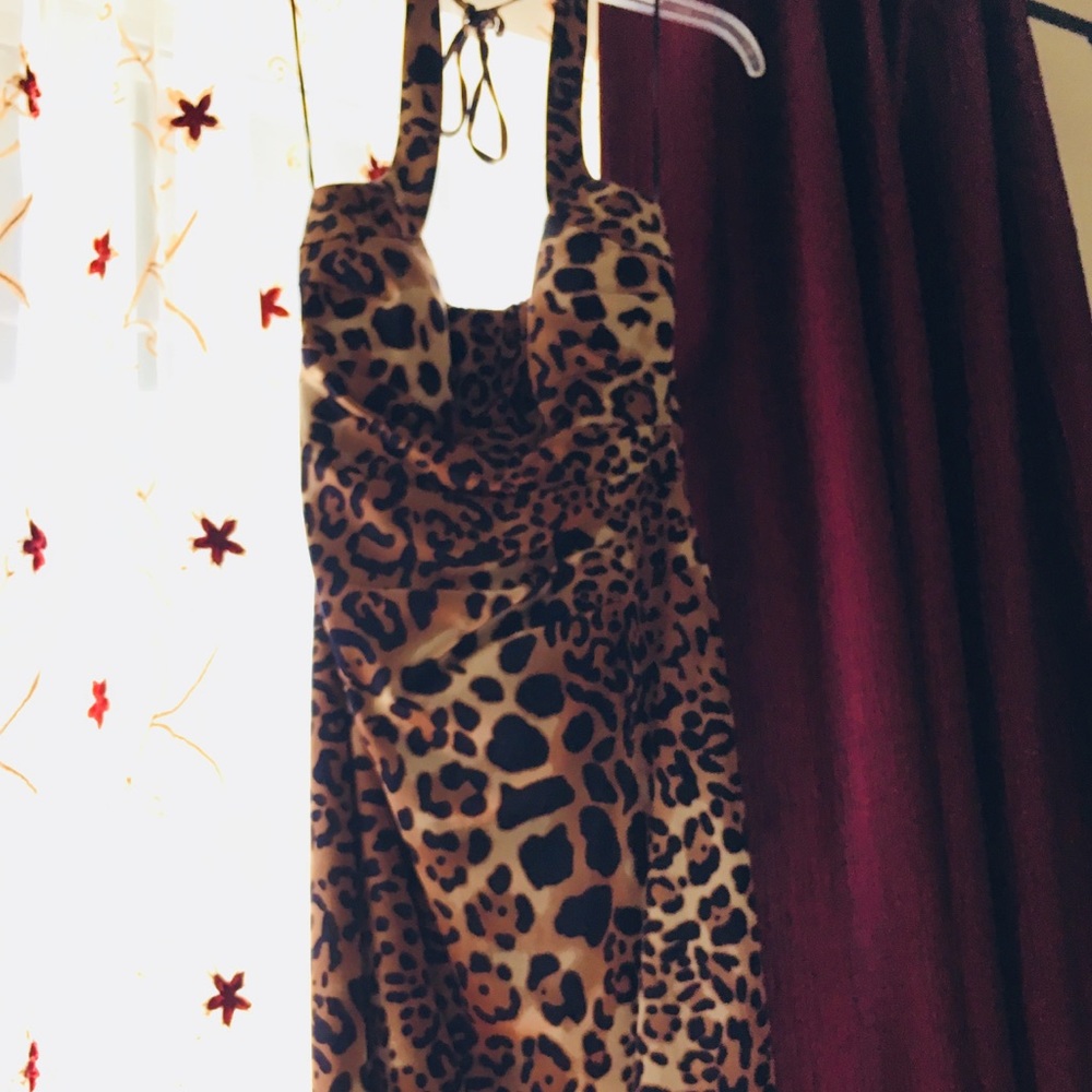Cache Leopard print mini dress